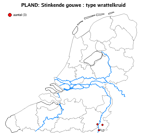wrattelkruid